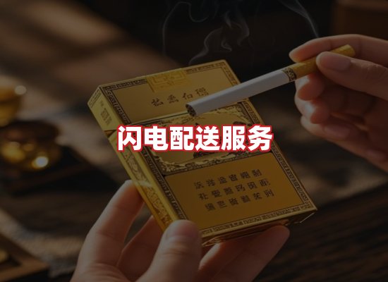 专业团队